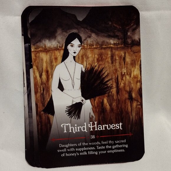 Seasons of the Witch: Samhain Oracle - Picture 12 of 13